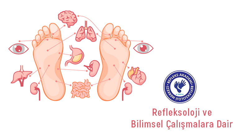 Refleksoloji ve Bilimsel Çalışmalara Dair